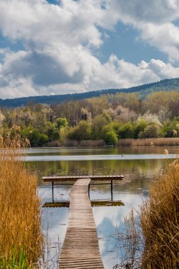 Güzel Werratal boyunca bahar gezisi. - Breitungen / Seeblick