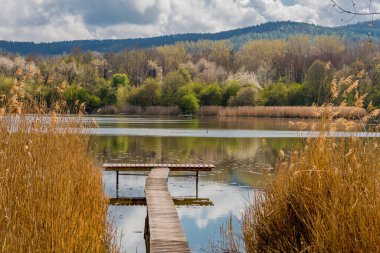 Güzel Werratal boyunca bahar gezisi. - Breitungen / Seeblick