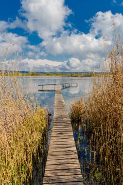 Güzel Werratal boyunca bahar gezisi. - Breitungen / Seeblick