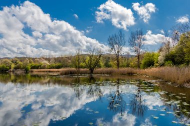 Güzel Werratal boyunca bahar gezisi. - Breitungen / Seeblick