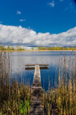 Güzel Werratal boyunca bahar gezisi. - Breitungen / Seeblick