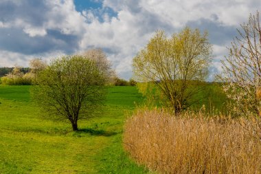 Güzel Werratal boyunca bahar gezisi. - Breitungen / Seeblick
