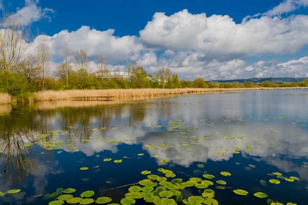 Wiosenna Wycieczka Pięknym Werratalu Breitungen Seeblick — Zdjęcie stockowe