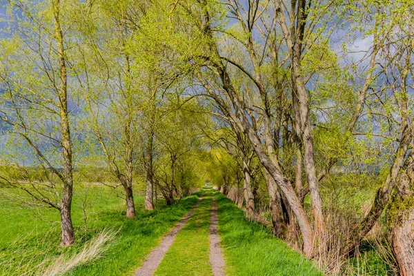 Spring exploring tour along the beautiful Werratal. - Breitungen/Seeblick