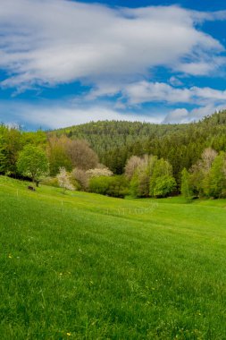 Schmalkalden yakınlarındaki Ortaçağ Frankenberg Şatosu 'na yürü - Thüringen - Almanya