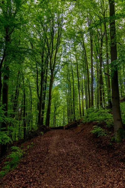 Walk Medieval Frankenberg Castle Schmalkalden Thuringia Germany — Stock Photo, Image