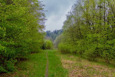 Brotterode yakınlarındaki güzel Thuringian Ormanı boyunca tatil gezisi - Almanya