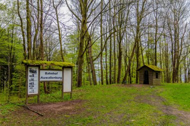 Brotterode yakınlarındaki güzel Thuringian Ormanı boyunca tatil gezisi - Almanya