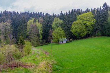 Brotterode yakınlarındaki güzel Thuringian Ormanı boyunca tatil gezisi - Almanya