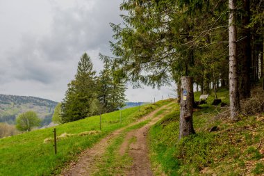 Brotterode yakınlarındaki güzel Thuringian Ormanı boyunca tatil gezisi - Almanya