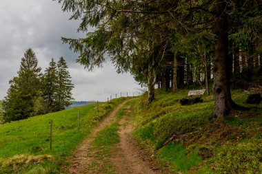 Brotterode yakınlarındaki güzel Thuringian Ormanı boyunca tatil gezisi - Almanya