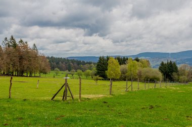 Brotterode yakınlarındaki güzel Thuringian Ormanı boyunca tatil gezisi - Almanya