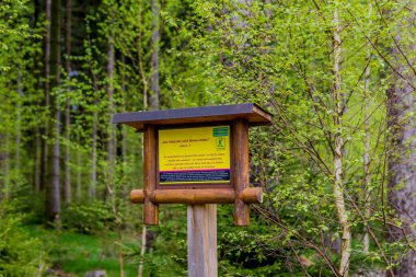 Brotterode yakınlarındaki güzel Thuringian Ormanı boyunca tatil gezisi - Almanya