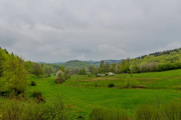 Erkundungstour Durch Den Schönen Thüringer Wald Bei Brotterode — Stockfoto