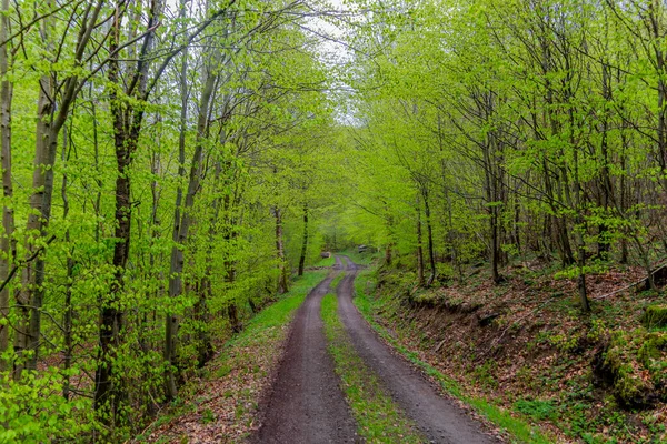 Holiday Exploration Tour Beautiful Thuringian Forest Brotterode Germany — Stock Photo, Image