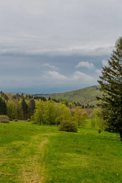 Semesterupptäcktsfärd Längs Den Vackra Thüringen Nära Brotterode Tyskland — Stockfoto