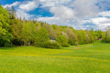 Schmalkalden 'in güzel şehri Thüringen, Almanya' da bahar yürüyüşü
