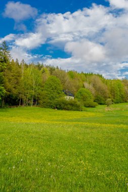 Schmalkalden 'in güzel şehri Thüringen, Almanya' da bahar yürüyüşü