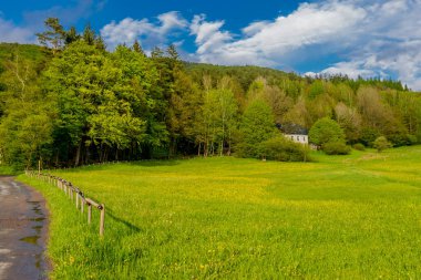 Schmalkalden 'in güzel şehri Thüringen, Almanya' da bahar yürüyüşü