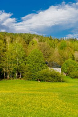 Schmalkalden 'in güzel şehri Thüringen, Almanya' da bahar yürüyüşü