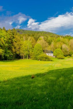 Schmalkalden 'in güzel şehri Thüringen, Almanya' da bahar yürüyüşü