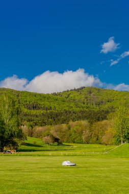Schmalkalden 'in güzel şehri Thüringen, Almanya' da bahar yürüyüşü
