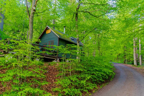 Lente Wandeling Door Prachtige Stad Schmalkalden Thüringen Duitsland — Stockfoto