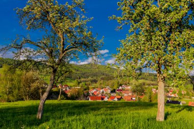 Schmalkalden 'in güzel şehri Thüringen, Almanya' da bahar yürüyüşü