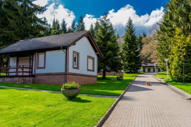 Rennsteig boyunca en güzel gün ışığında bahar benzeri bir uyanış.