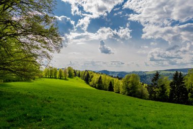 Rennsteig boyunca en güzel gün ışığında bahar benzeri bir uyanış.