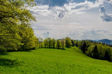 Rennsteig boyunca en güzel gün ışığında bahar benzeri bir uyanış.