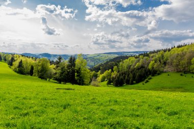 Rennsteig boyunca en güzel gün ışığında bahar benzeri bir uyanış.