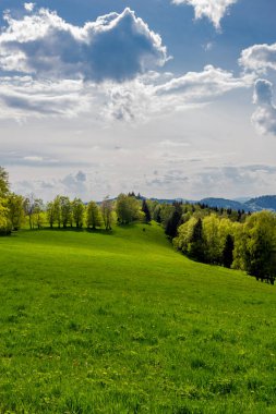 Rennsteig boyunca en güzel gün ışığında bahar benzeri bir uyanış.