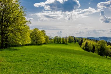 Rennsteig boyunca en güzel gün ışığında bahar benzeri bir uyanış.