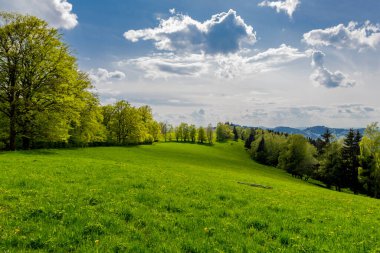 Rennsteig boyunca en güzel gün ışığında bahar benzeri bir uyanış.