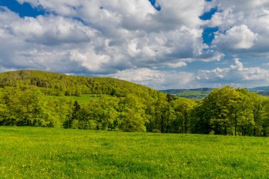 Rennsteig boyunca en güzel gün ışığında bahar benzeri bir uyanış.