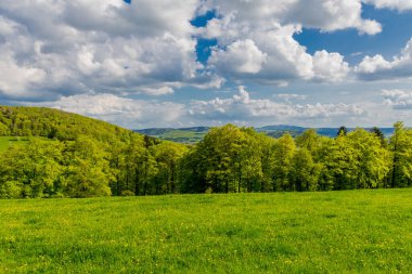 Rennsteig boyunca en güzel gün ışığında bahar benzeri bir uyanış.