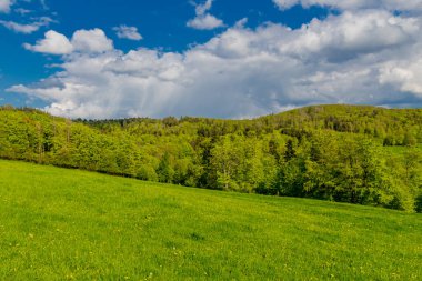 Rennsteig boyunca en güzel gün ışığında bahar benzeri bir uyanış.