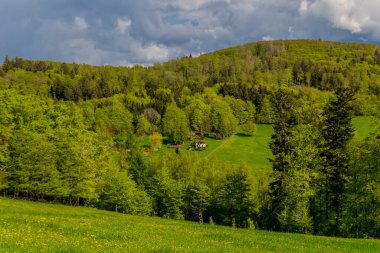 Rennsteig boyunca en güzel gün ışığında bahar benzeri bir uyanış.