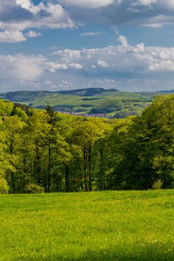 Rennsteig boyunca en güzel gün ışığında bahar benzeri bir uyanış.