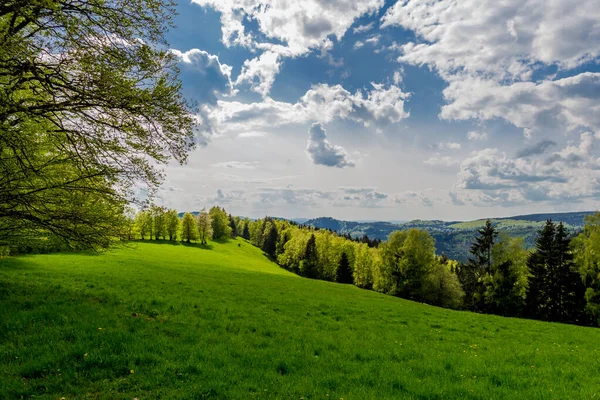 Despertar Primaveral Largo Del Rennsteig Bajo Sol Más Hermoso —  Fotos de Stock