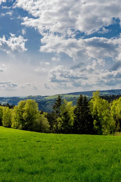 Frühlingserwachen Rennsteig Bei Schönstem Sonnenschein — Stockfoto