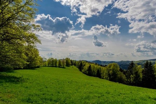 Vårlikt Uppvaknande Längs Rennsteig Det Vackraste Solskenet — Stockfoto