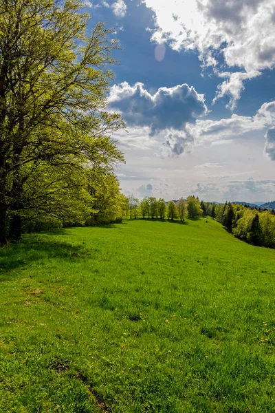 Springlike Αφύπνιση Κατά Μήκος Της Rennsteig Στην Πιο Όμορφη Ηλιοφάνεια — Φωτογραφία Αρχείου