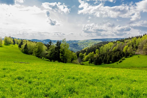 Despertar Primaveral Largo Del Rennsteig Bajo Sol Más Hermoso — Foto de Stock