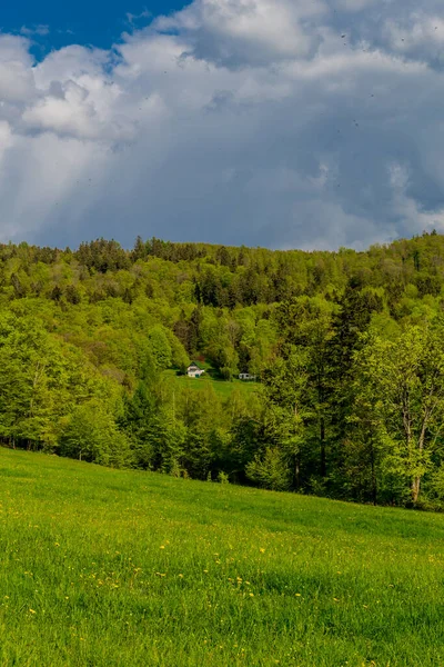 Springlike Αφύπνιση Κατά Μήκος Της Rennsteig Στην Πιο Όμορφη Ηλιοφάνεια — Φωτογραφία Αρχείου