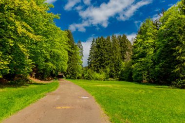 Thüringen Ormanı 'ndaki dar su barajının etrafında bahar yürüyüşü - Tambach-Dietharz / Almanya