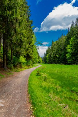 Thüringen Ormanı 'ndaki dar su barajının etrafında bahar yürüyüşü - Tambach-Dietharz / Almanya