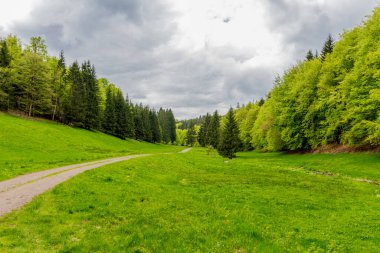Thüringen Ormanı 'ndaki dar su barajının etrafında bahar yürüyüşü - Tambach-Dietharz / Almanya