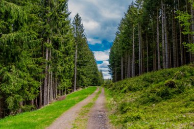 Thüringen Ormanı 'ndaki dar su barajının etrafında bahar yürüyüşü - Tambach-Dietharz / Almanya